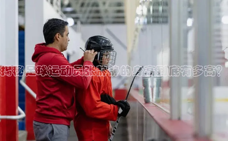 球盟体育下载app百度手机助手