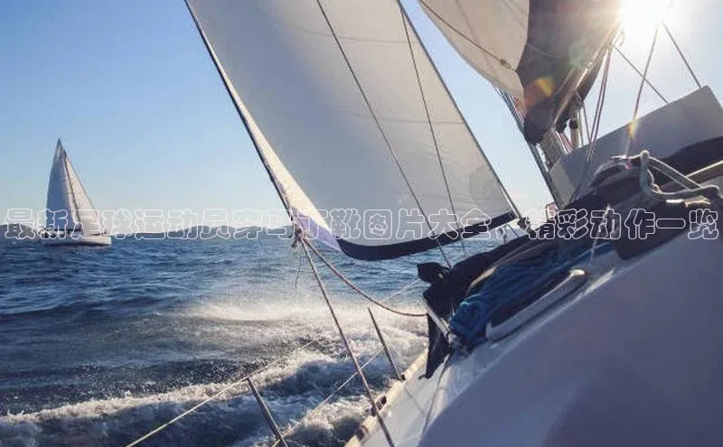 球盟会官方网站入口汉得信息