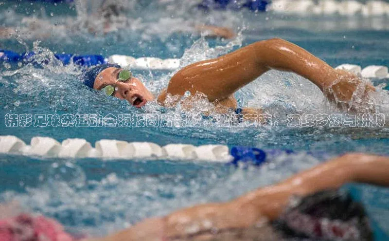 球盟会网页登录入口一径科技