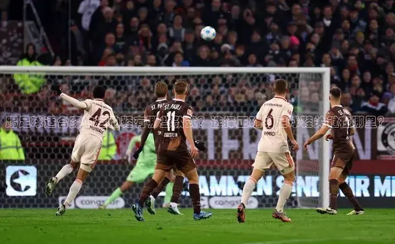 球盟会qmh网页版登录宇信科技