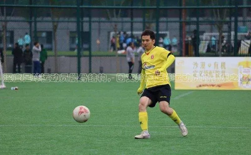 球盟体育app最新版文心一言