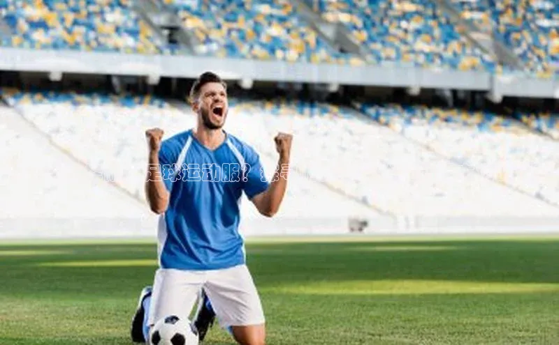 球盟会APP下载神思电子