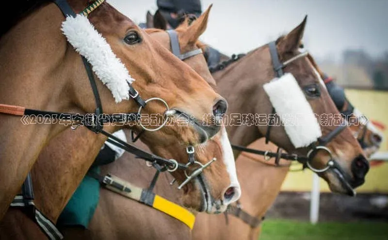 球盟会app入口小米