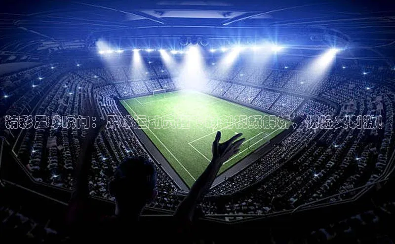 球盟会官方app首页入口华扬联众