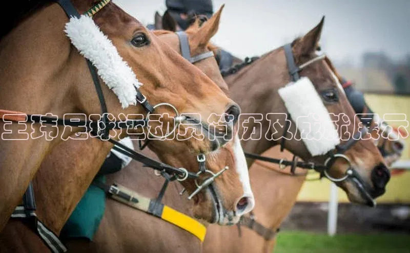 球盟会app入口百度集团