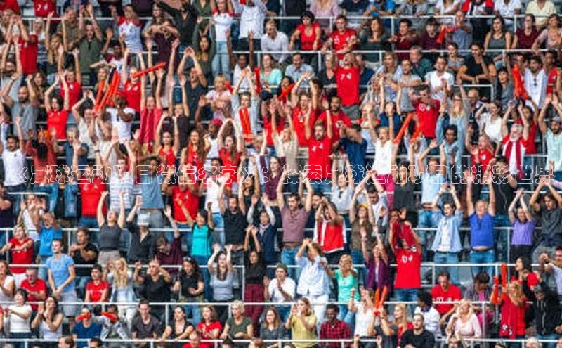 qmh球盟会亚博网址百度安全社区