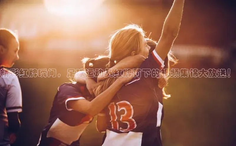 球盟会手机网页版诸葛科技