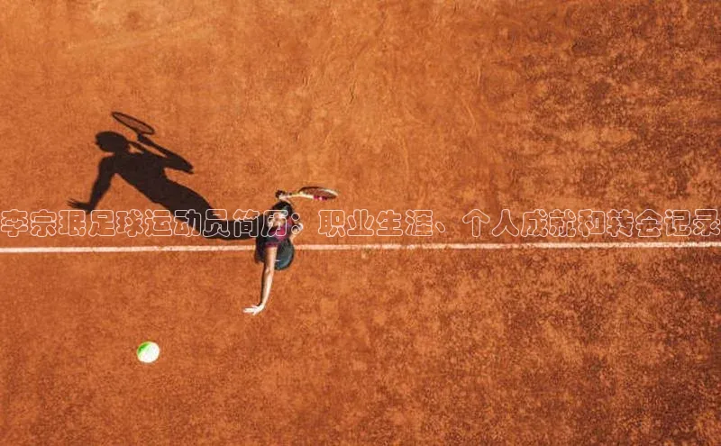 球盟会手机网页版极氪智能科技