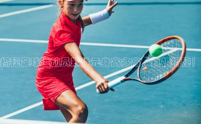 球盟会官方网站入口汉得信息