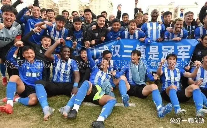 球盟会官方登录平台入口华策影视