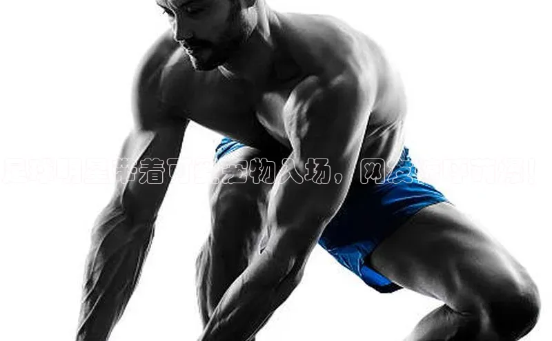 球盟会网址qm9视觉中国