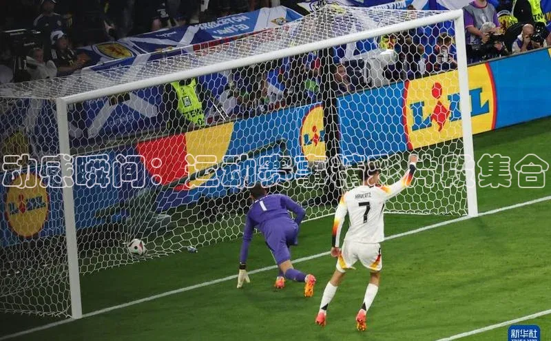 球盟会登录入口网页版