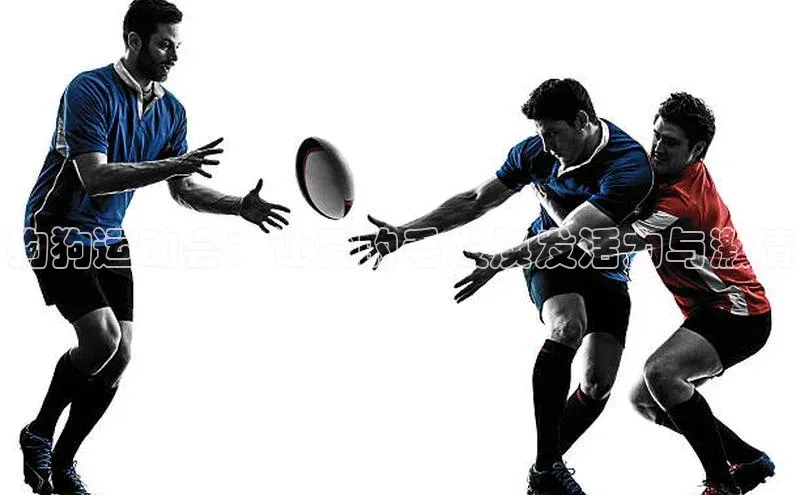 球盟体育下载官网