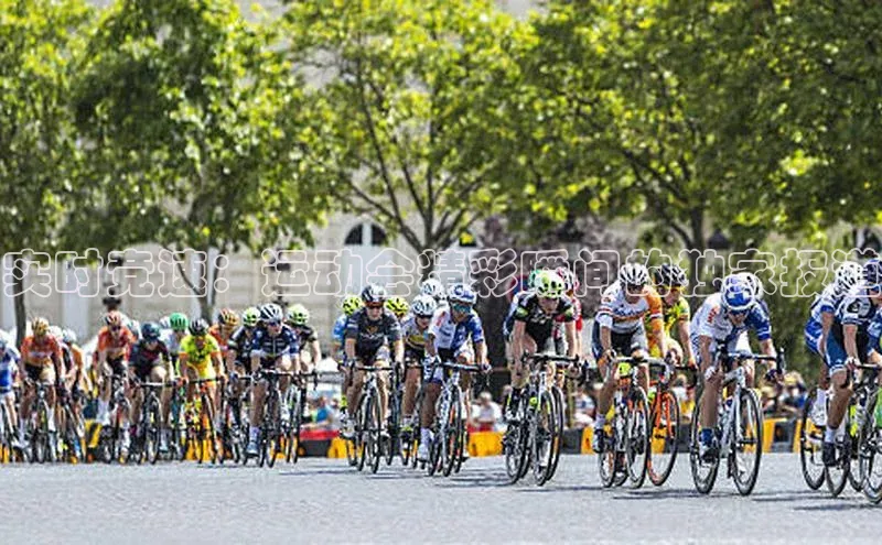 球盟会登录入口网页版