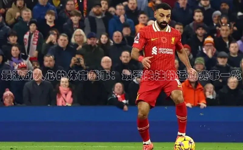 球盟会官网登录入口