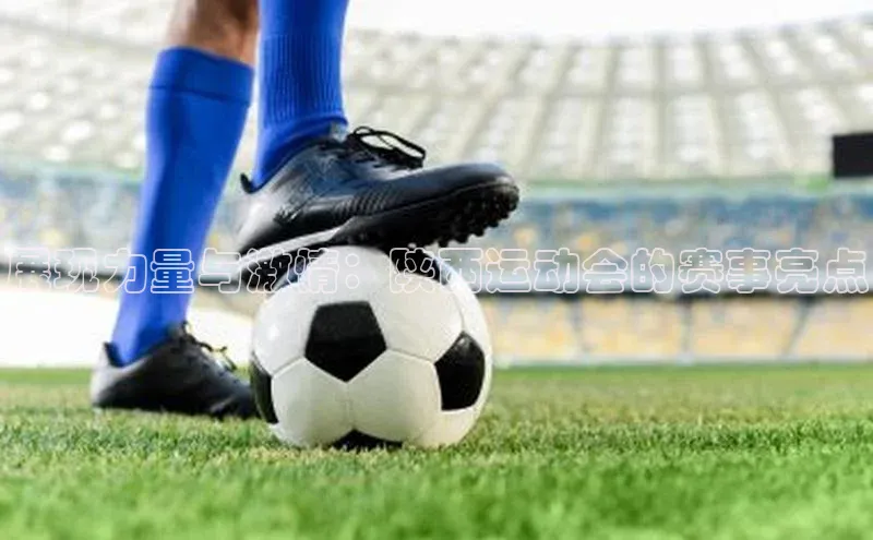 球盟会官方网页登录