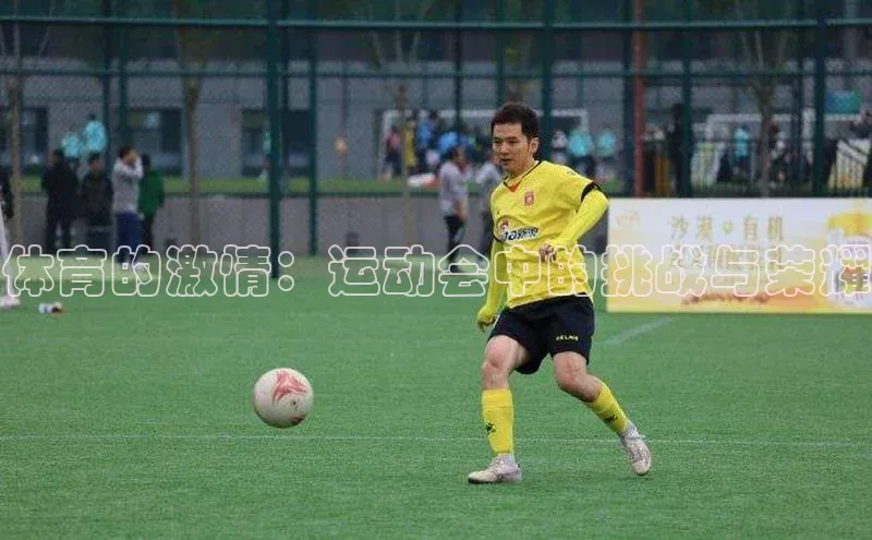 球盟会登录入口网页版
